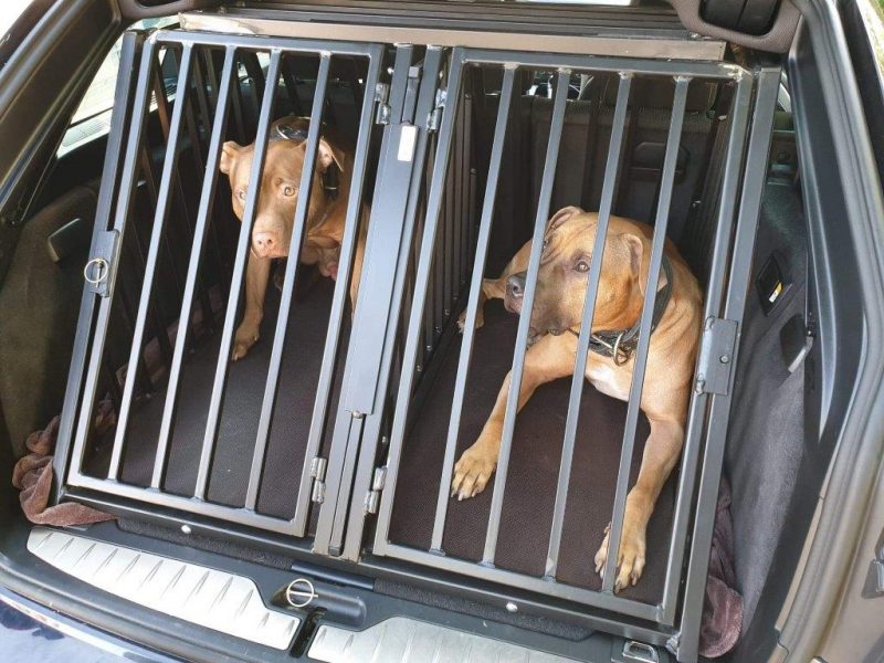 TRANSPORT CAGES FOR DOGS