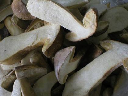 FROZEN EDIBLE BOLETUS MUSHROOMS