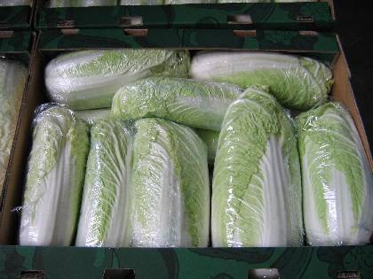 VEGETABLES - CHINESE CABBAGE