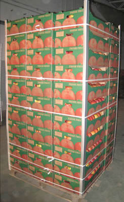 APPLES 