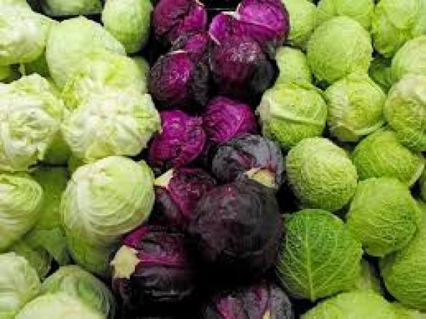 VEGETABLES - CABBAGE 