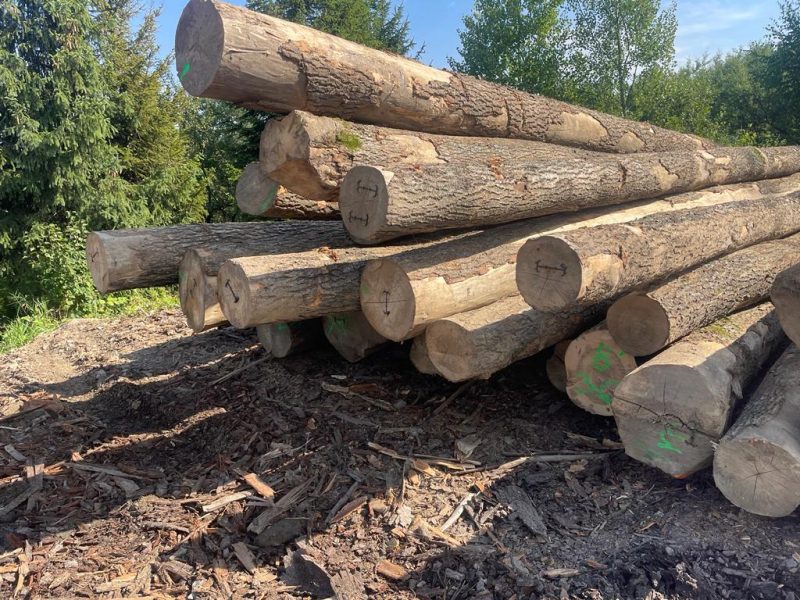 ROUND ASH WOOD WITH BARK