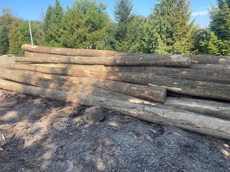 ASH LOGS 