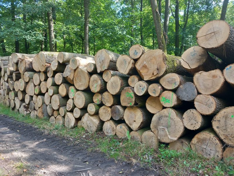 ROUND ASH WOOD WITH BARK