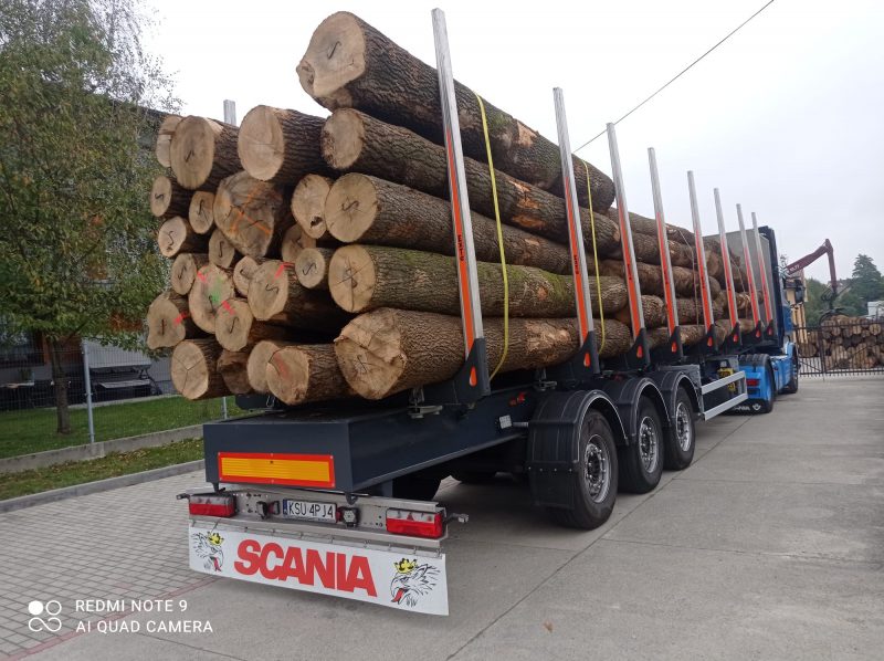 ASH LOGS 