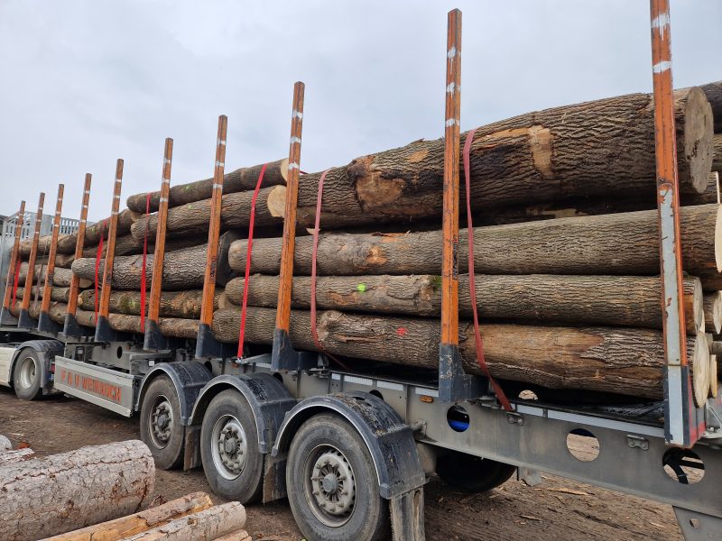 ASH LOGS 