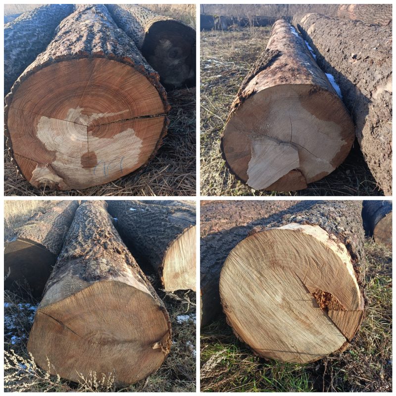 ROUND ASH WOOD WITH BARK