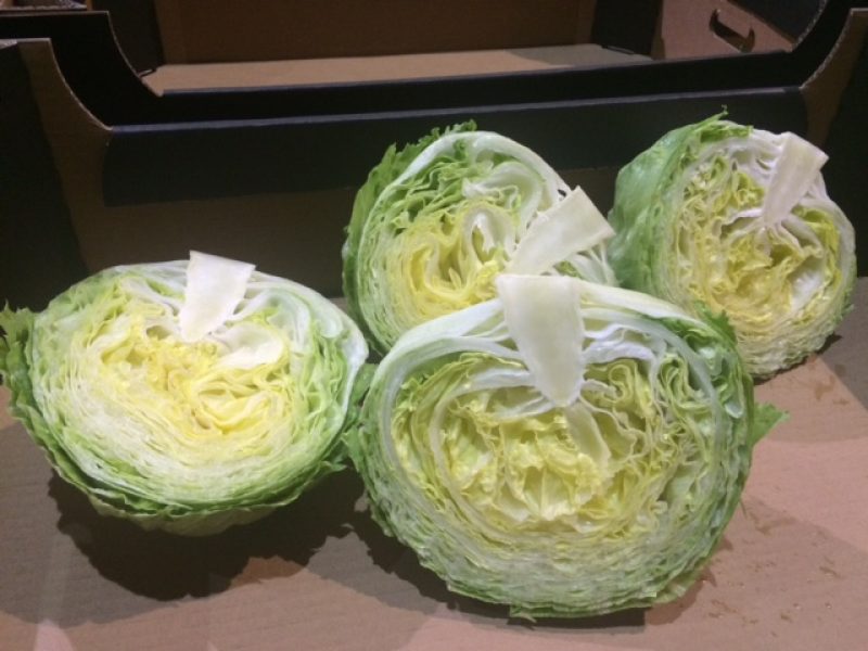 VEGETABLES - ICEBERG LETTUCE