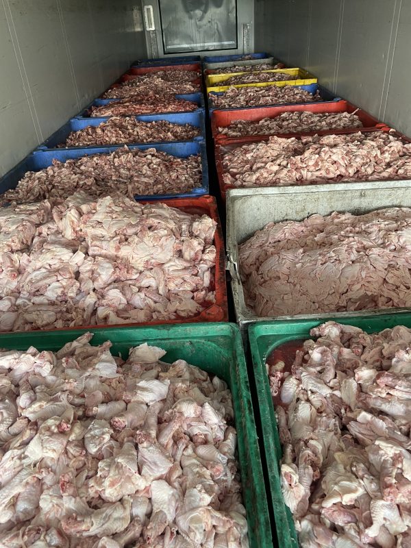 POULTRY MEAT 