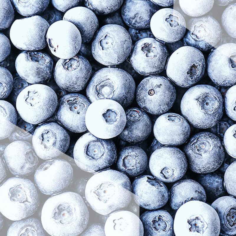 FROZEN FOREST LINGONBERRY