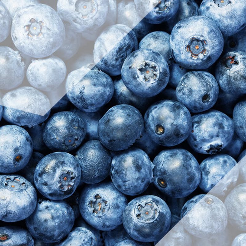 FRUIT - BILBERRY