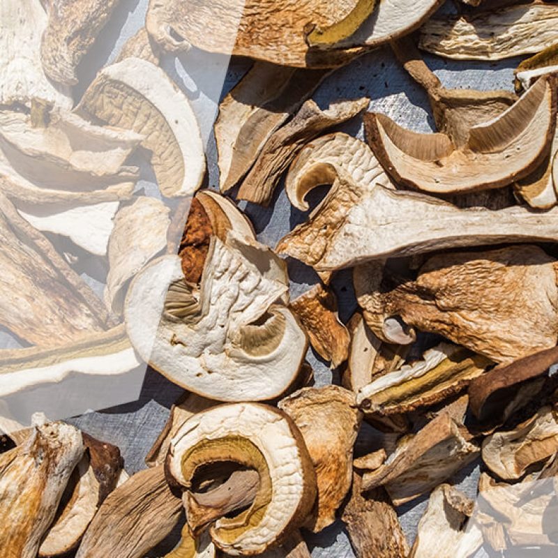 DRIED EDIBLE BOLETUS MUSHROOMS