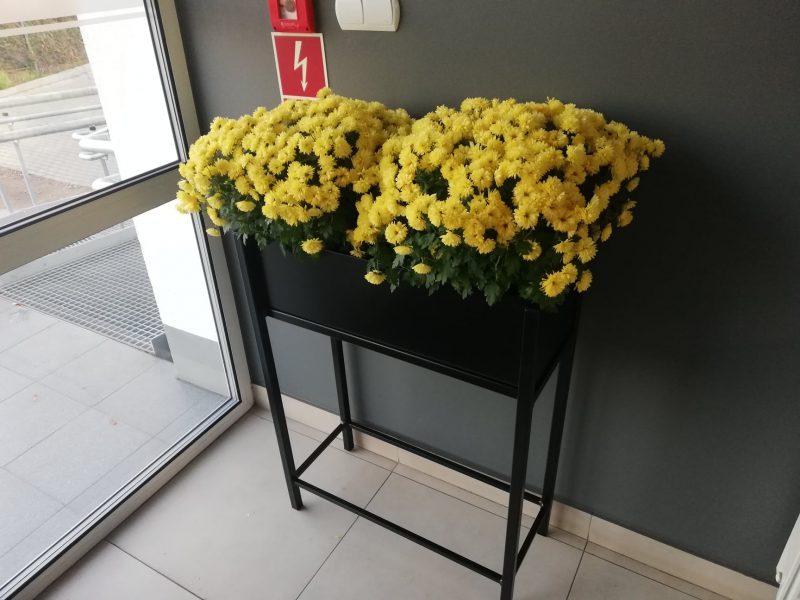 MATAL PLANT STANDS