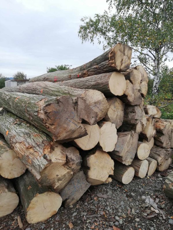 HORNBEAM LOGS 