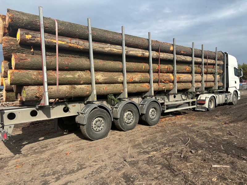 DOUGLAS-FIR LOGS 