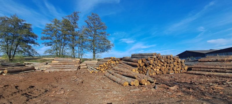 LARCH WOOD ROUND WITH BARK