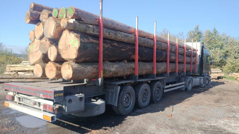 DOUGLAS-FIR LOGS 