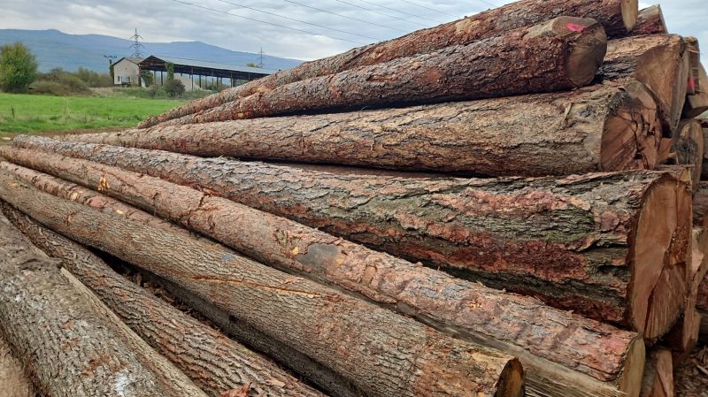 LARCH WOOD ROUND WITH BARK