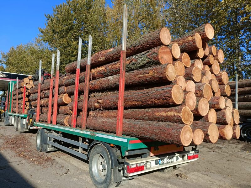 LARCH WOOD ROUND WITH BARK
