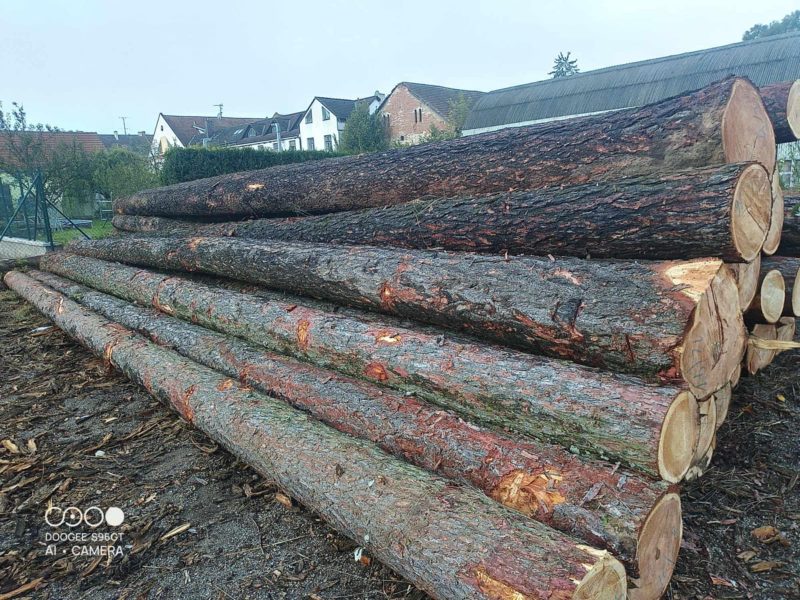 LARCH WOOD ROUND WITH BARK