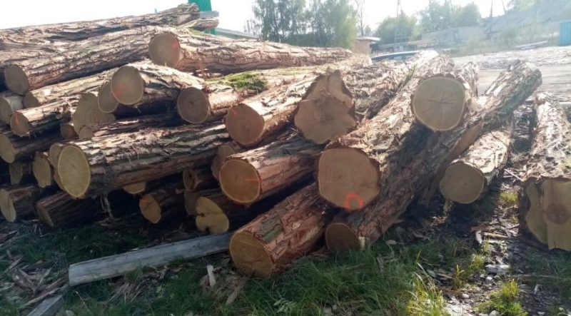 ACACIA LOGS 