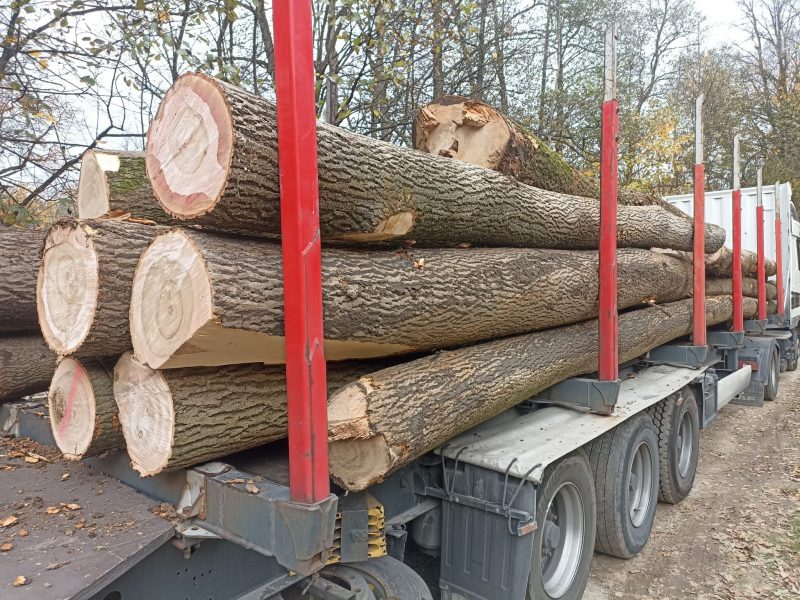 ROUND ASH WOOD WITH BARK