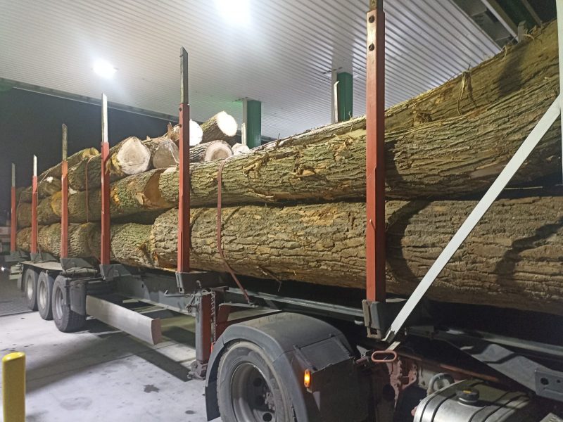 POPLAR LOGS 
