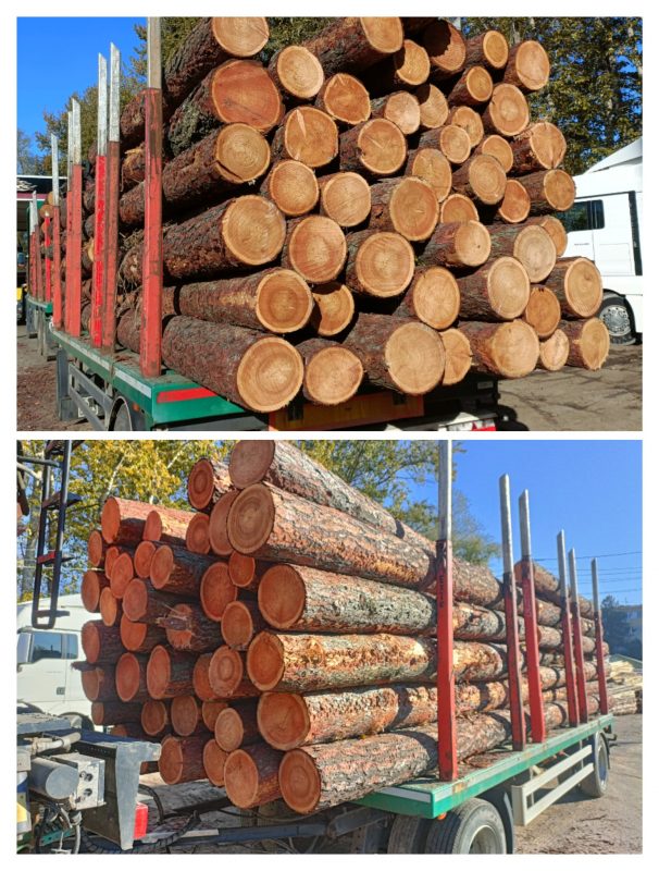 LARCH WOOD ROUND WITH BARK