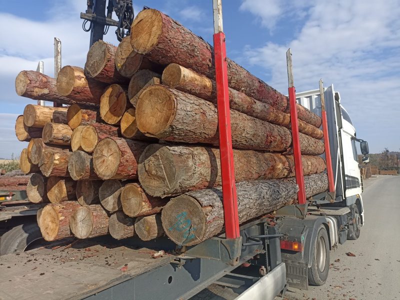 LARCH WOOD ROUND WITH BARK