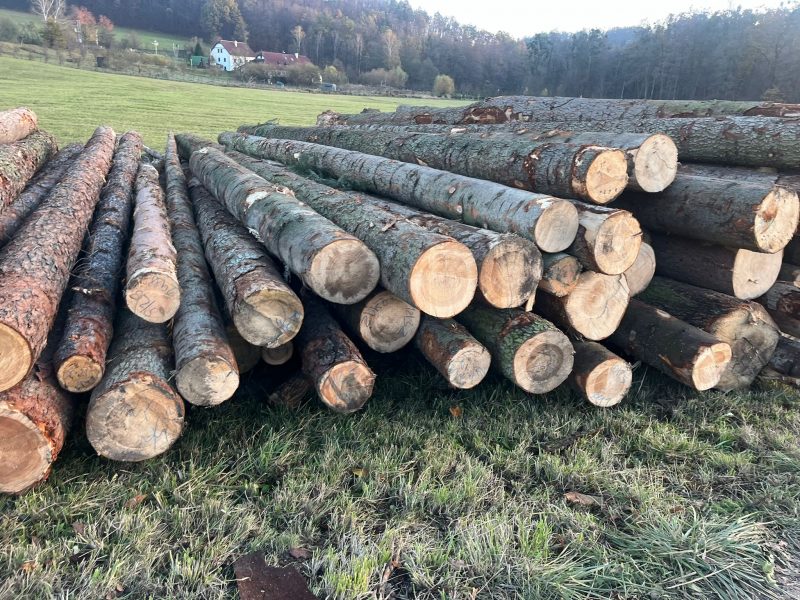 FIR TIMBER ROUND WITH BARK 