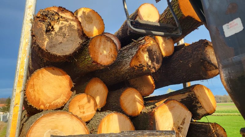 ROUND ALDER WOOD WITH BARK 