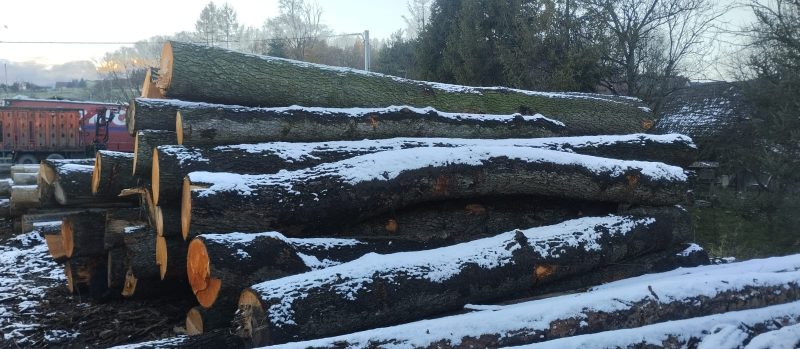 ROUND ALDER WOOD WITH BARK 