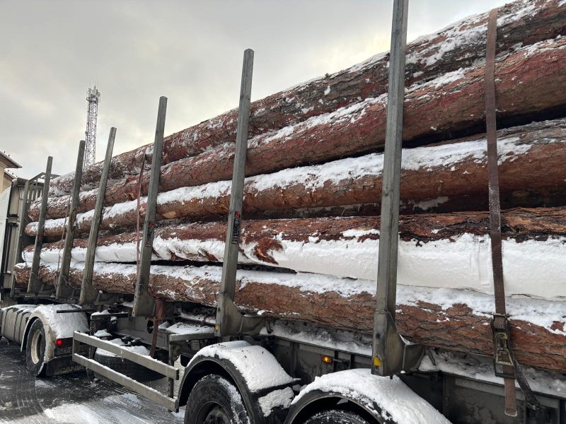 LARCH WOOD ROUND WITH BARK 