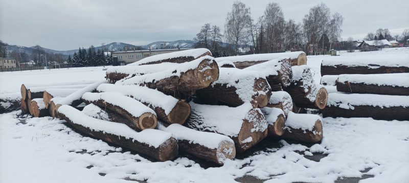 POPLAR LOGS 