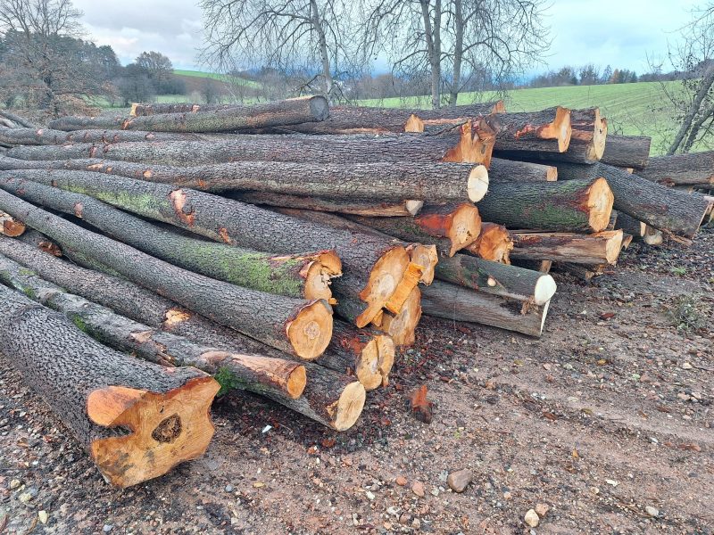 ROUND ALDER WOOD WITH BARK 