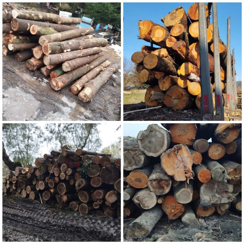 ROUND ALDER WOOD WITH BARK 
