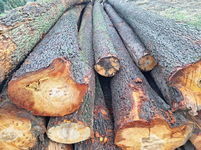 ROUND ALDER WOOD WITH BARK 