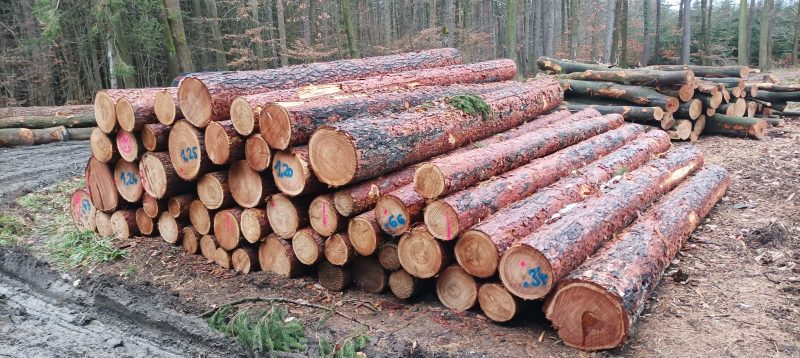 LARCH WOOD ROUND WITH BARK