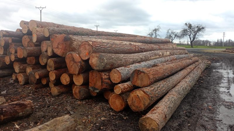 LARCH WOOD ROUND WITH BARK