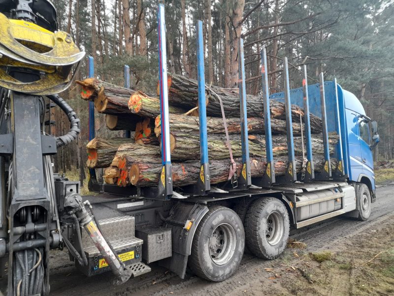 ACACIA LOGS 