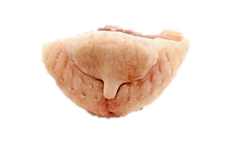 POULTRY - FRESH PARSONS NOSES 