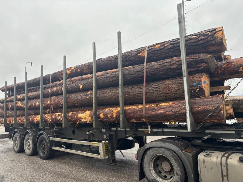 ROUND PINEWOOD WITH BARK