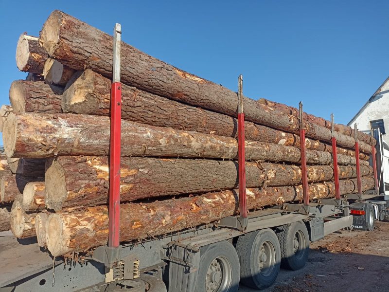 ROUND PINEWOOD WITH BARK 