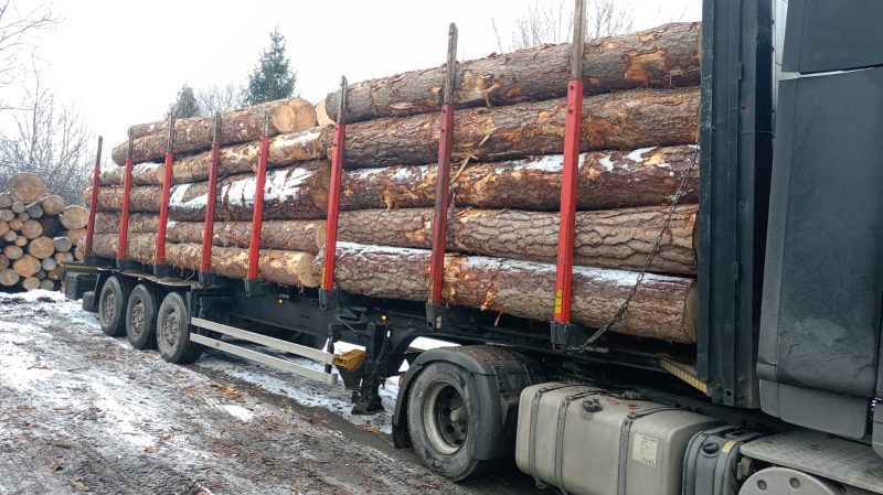 ROUND PINEWOOD WITH BARK 