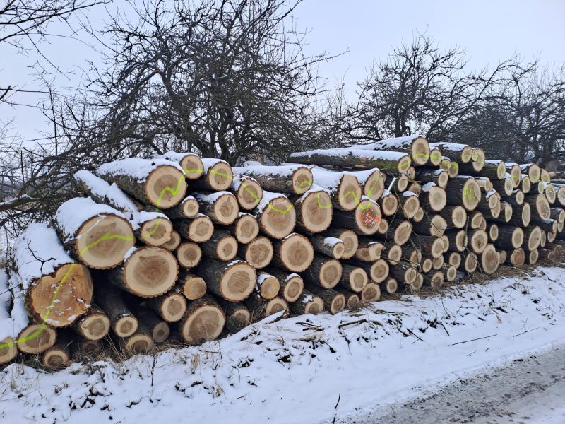POPLAR LOGS 
