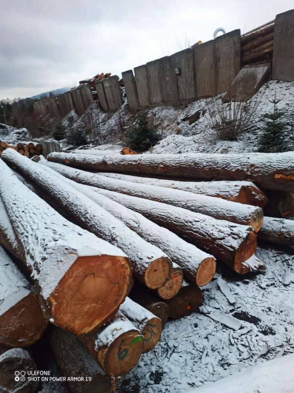 LARCH WOOD ROUND WITH BARK 