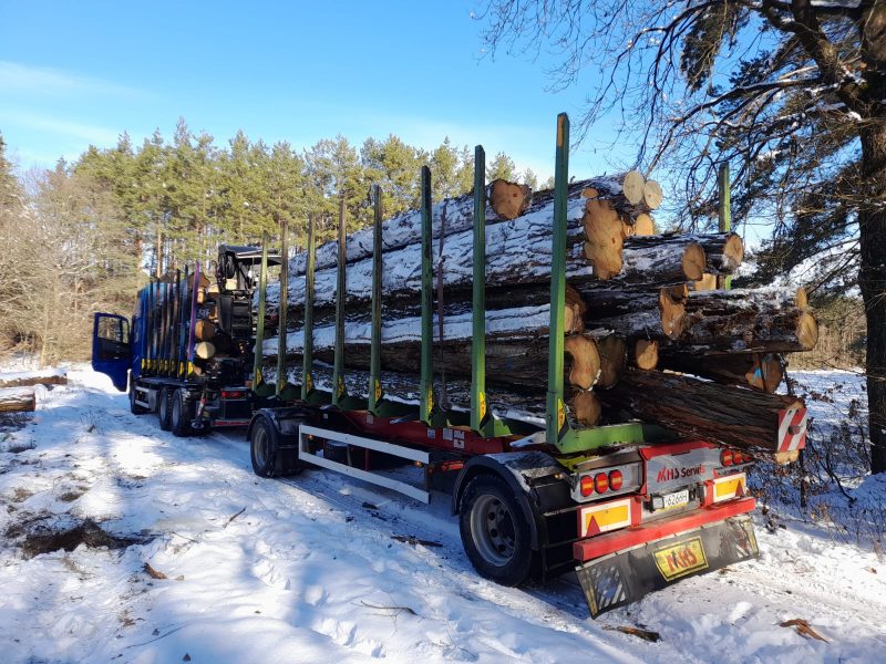 ACACIA LOGS 