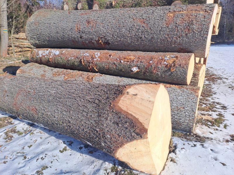 ROUND SPRUCEWOOD WITH BARK 