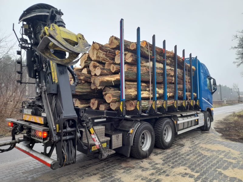 ACACIA LOGS 