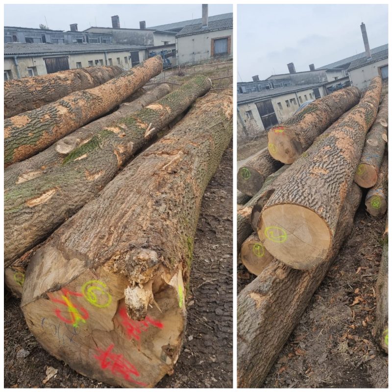 ROUND ASH WOOD WITH BARK